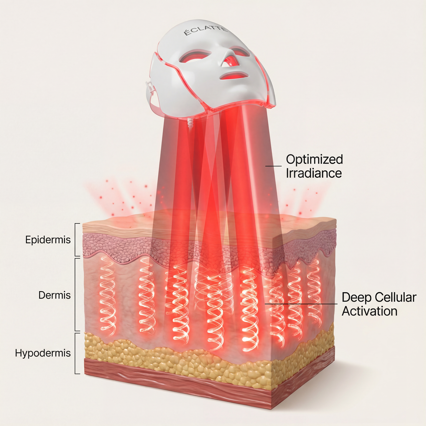 ÉCLATTE RejuveMASK — LED & Microcurrent Skin Rejuvenation Mask